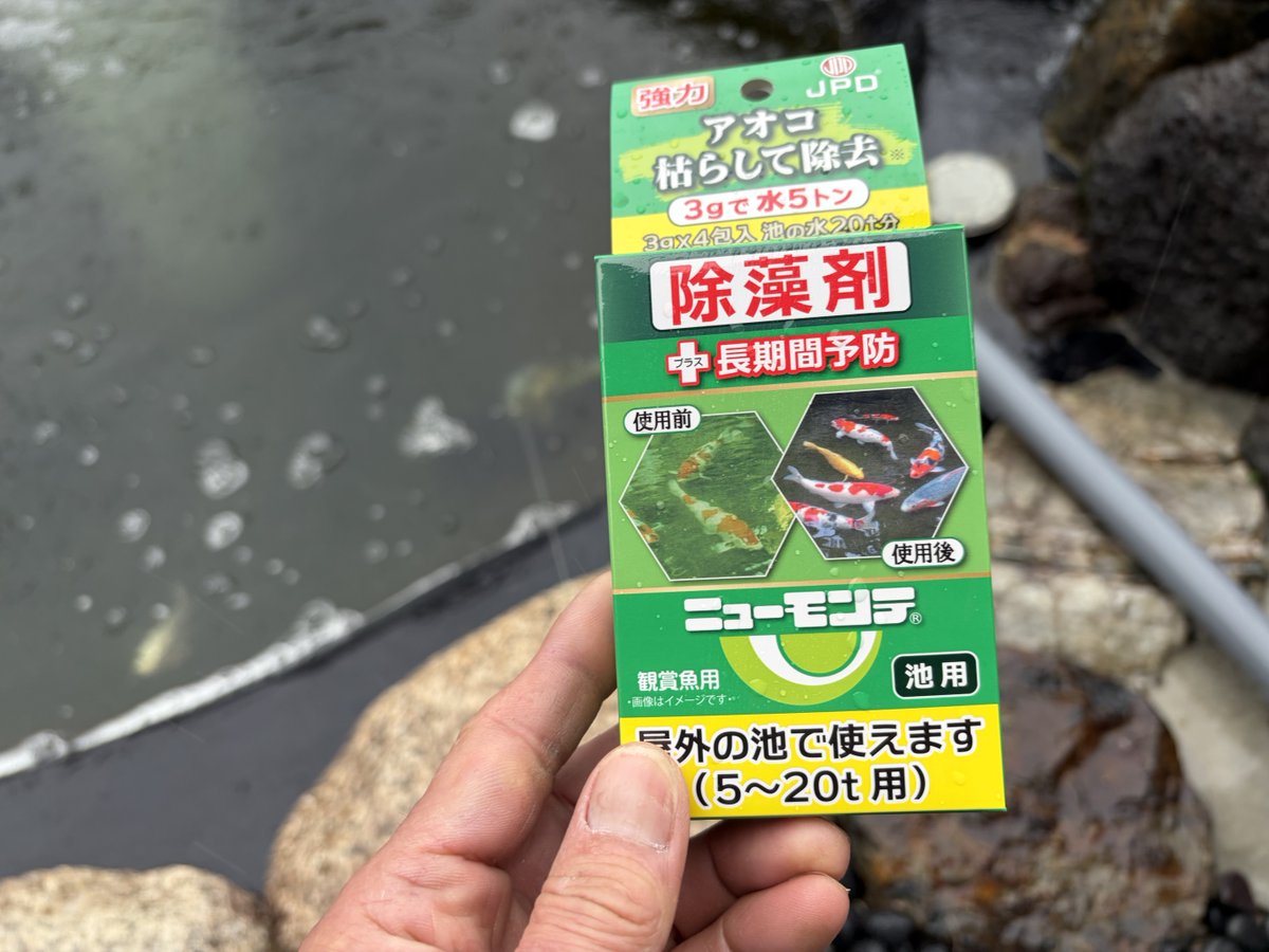 鼓太郎 (@kotakotaurotako) / Posts / X