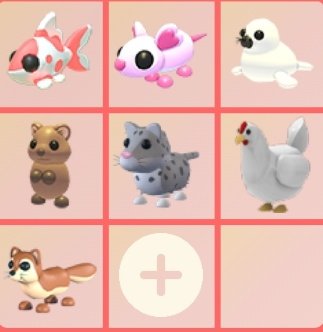 F♡tima tweet media