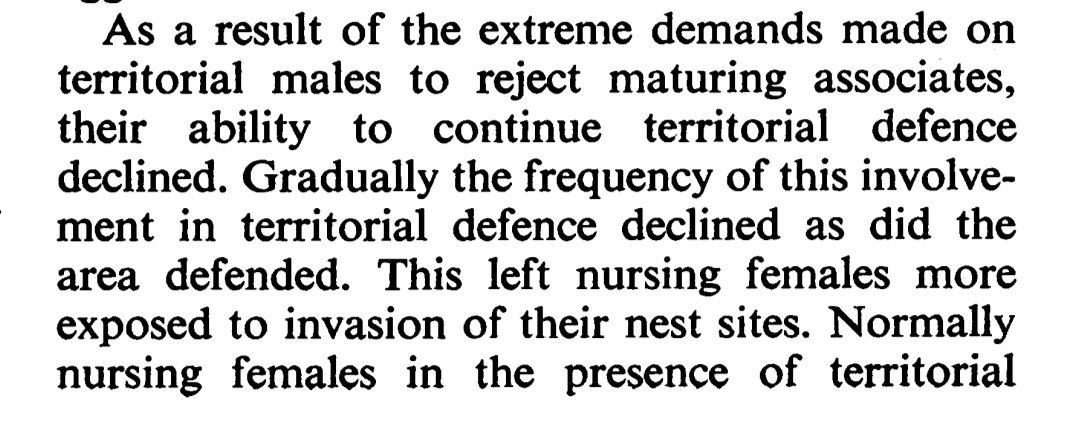 AvidNeocolonialist tweet media