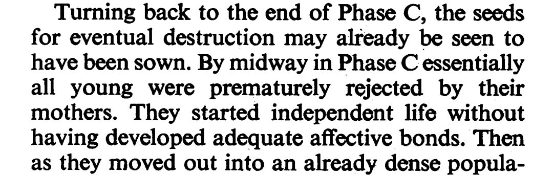 AvidNeocolonialist tweet media