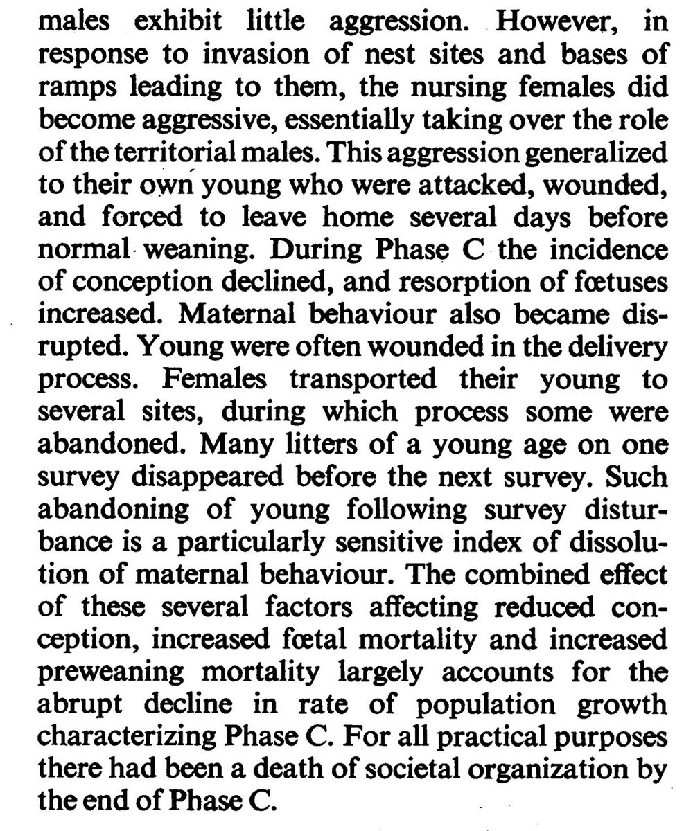 AvidNeocolonialist tweet media