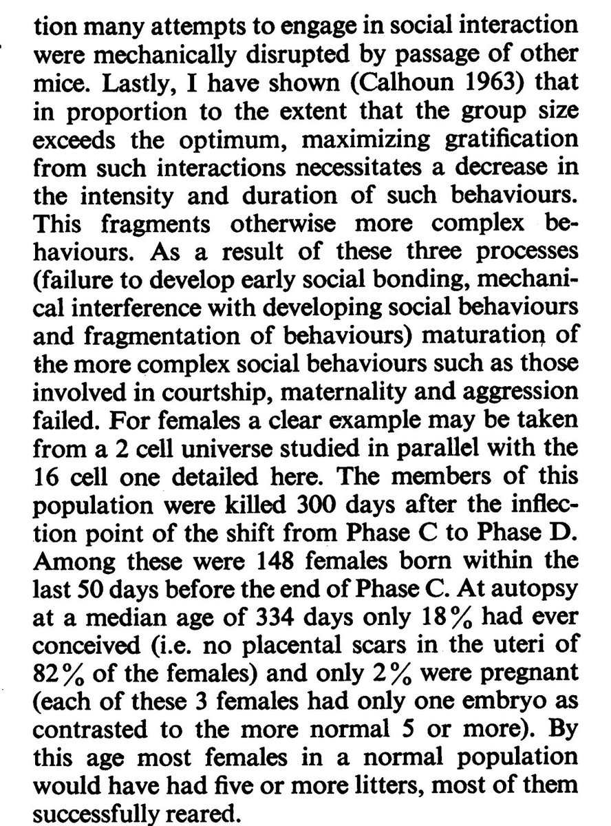 AvidNeocolonialist tweet media