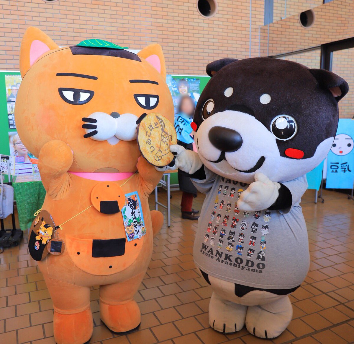 そうかニャンちゃん また遊ぼうね～✨