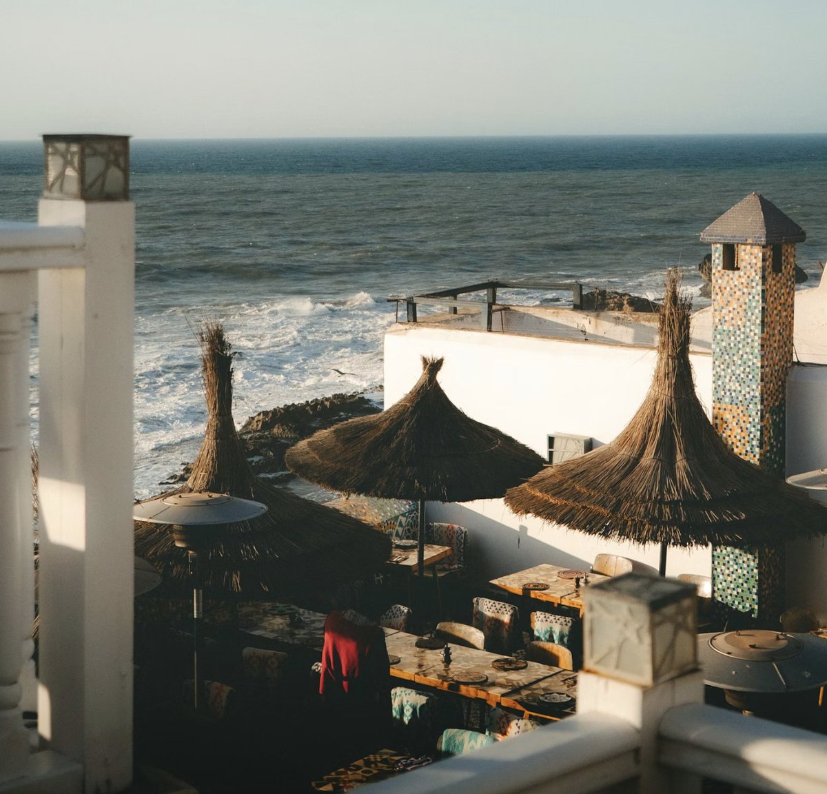 greenprophet tweet media