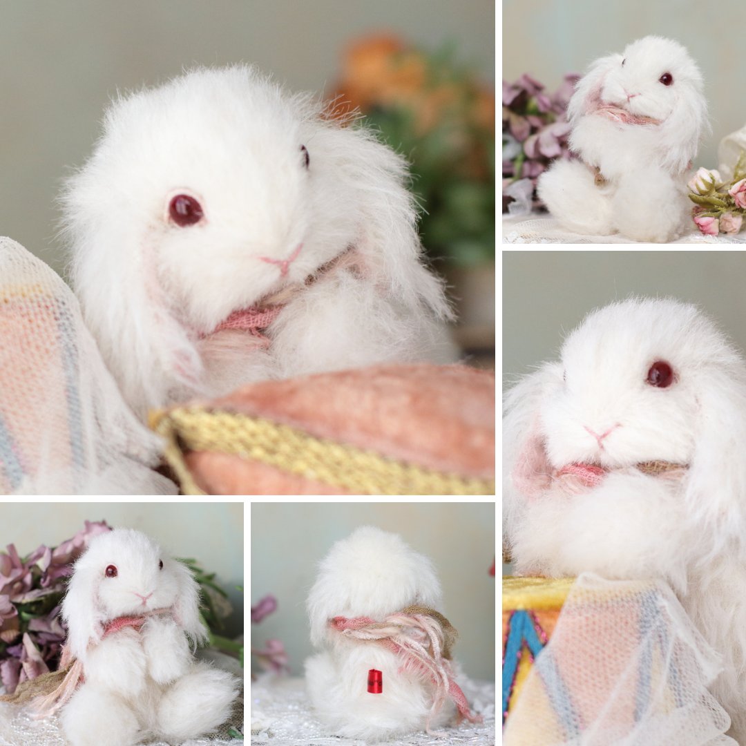 ちゃすけ店長の通販企画に参加する
赤い瞳の白うさぎさん🐰

深みのある赤い瞳がきれいな
ちいさな白うさぎさん。
お日様の下で眺める赤い瞳は本当に素敵です♡

🎀3月3日うさぎの日 21:00～
chakochako.theshop.jp