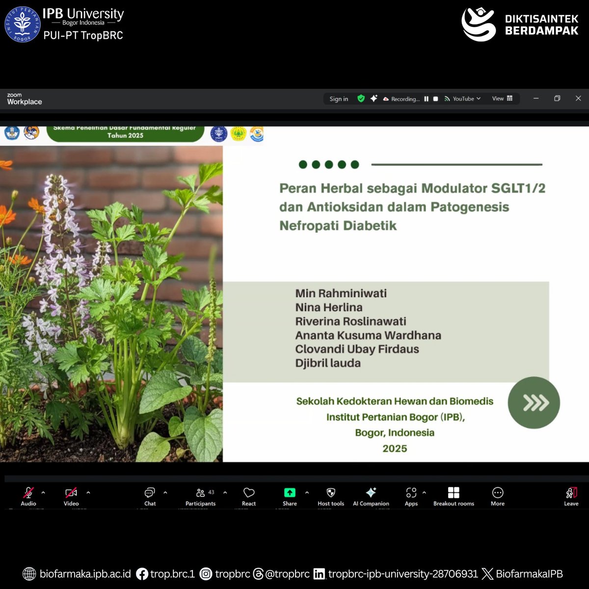TropBRC IPB tweet media