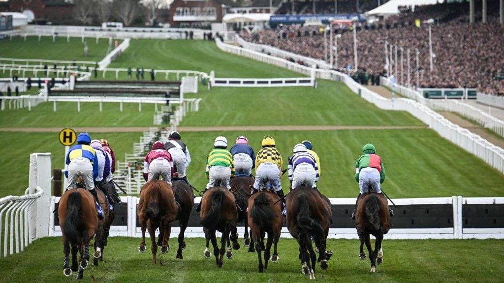 racingblogger's tweet photo. 🚨 ONE WEEK TO THE CHELTENHAM FESTIVAL!! 😍

TAG A MATE WHO CAN'T WAIT BELOW? https://t.co/cF8mA3vqVM