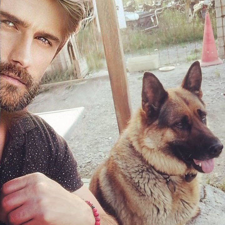 #YeniProfilResmi

İnsanları tanıdıkça hayvanları daha çok sevdim dediğim gün,
Yanıma alıp DOST edindiğim köpeğim KİBELE.
Çok sadık ve asla ihanet etmiyor.
Şevkatli ve merhametli.
En önemliside huzur veriyor.

#meaningoflifeKİBELE