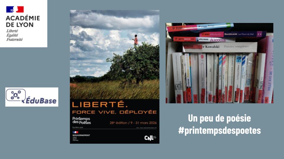 Le numérique au service de la Documentation tweet media