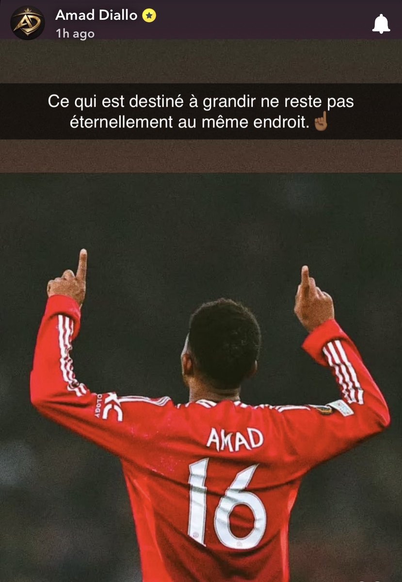 (fan) Frank 🧠🇾🇪 tweet media