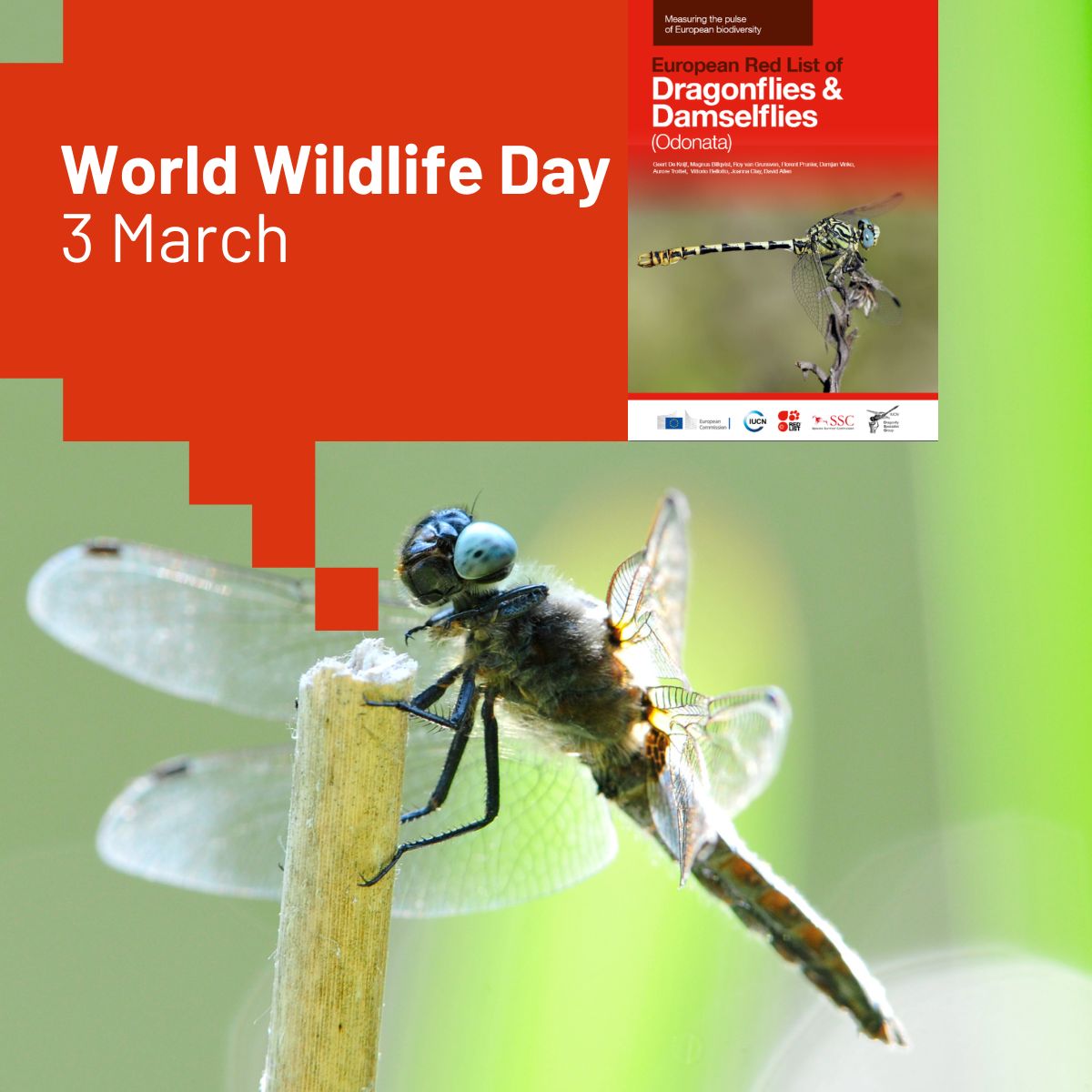 EU Publications tweet media