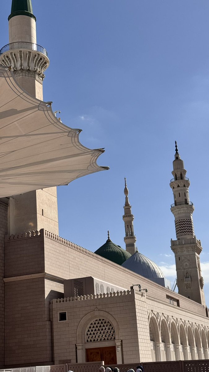 cep_mimar's tweet photo. Medine 💚 https://t.co/PpTp1K9XIb