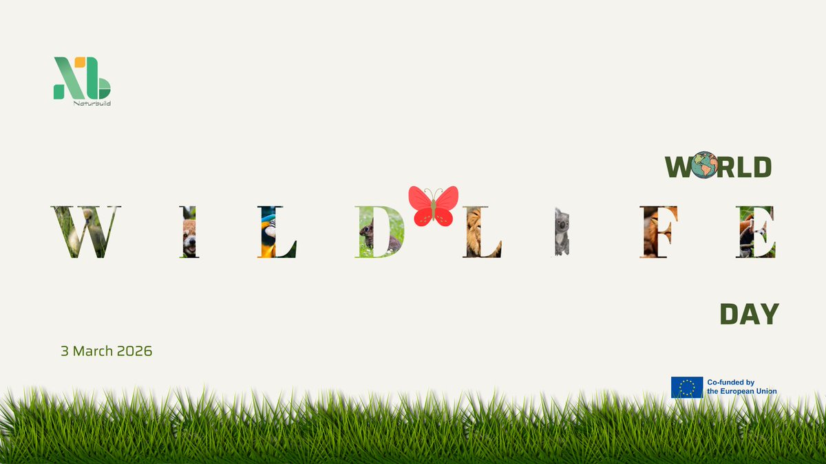 NaturBuild tweet media