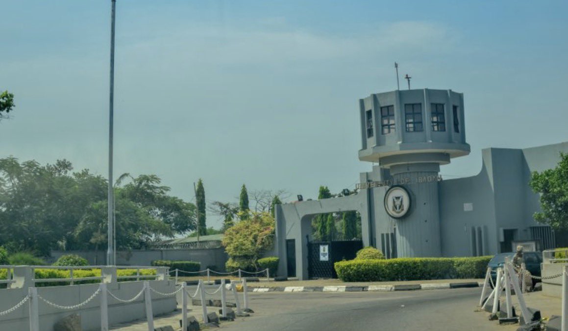 Oyo Affairs tweet media