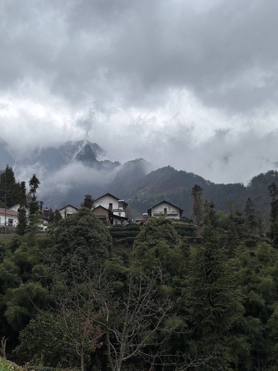 anyoneexceptu tweet media