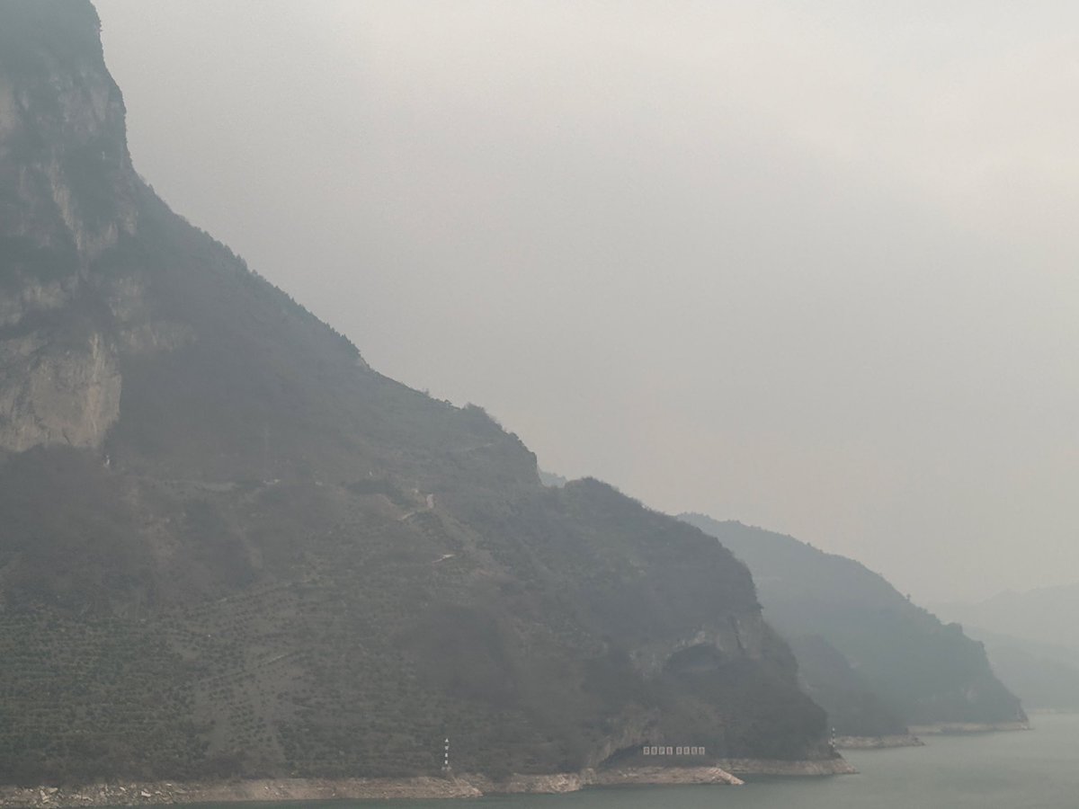 anyoneexceptu tweet media