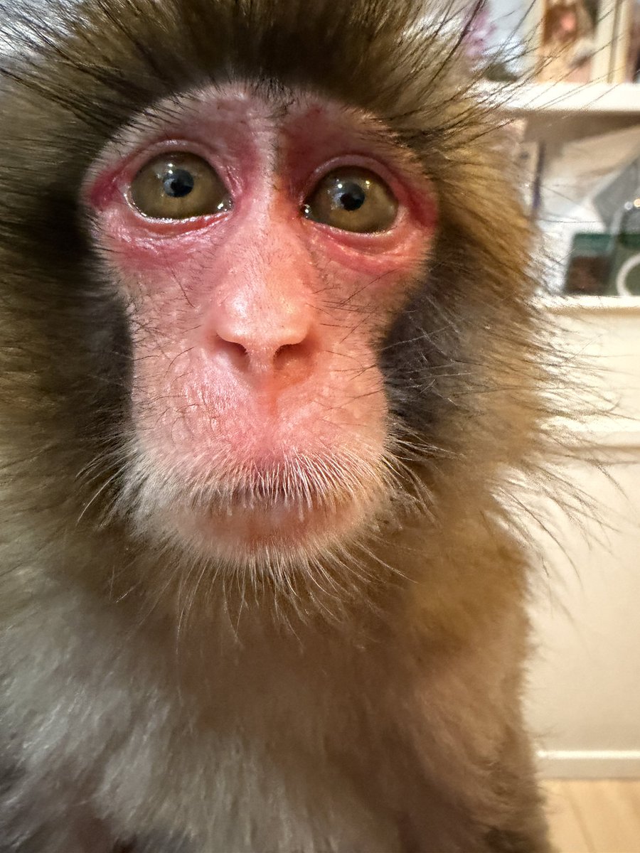 利美トレーナー tweet media