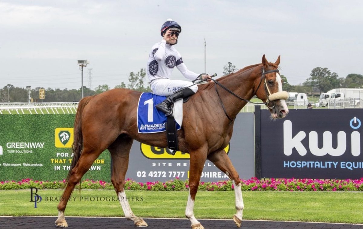 mitchellbeer tweet media