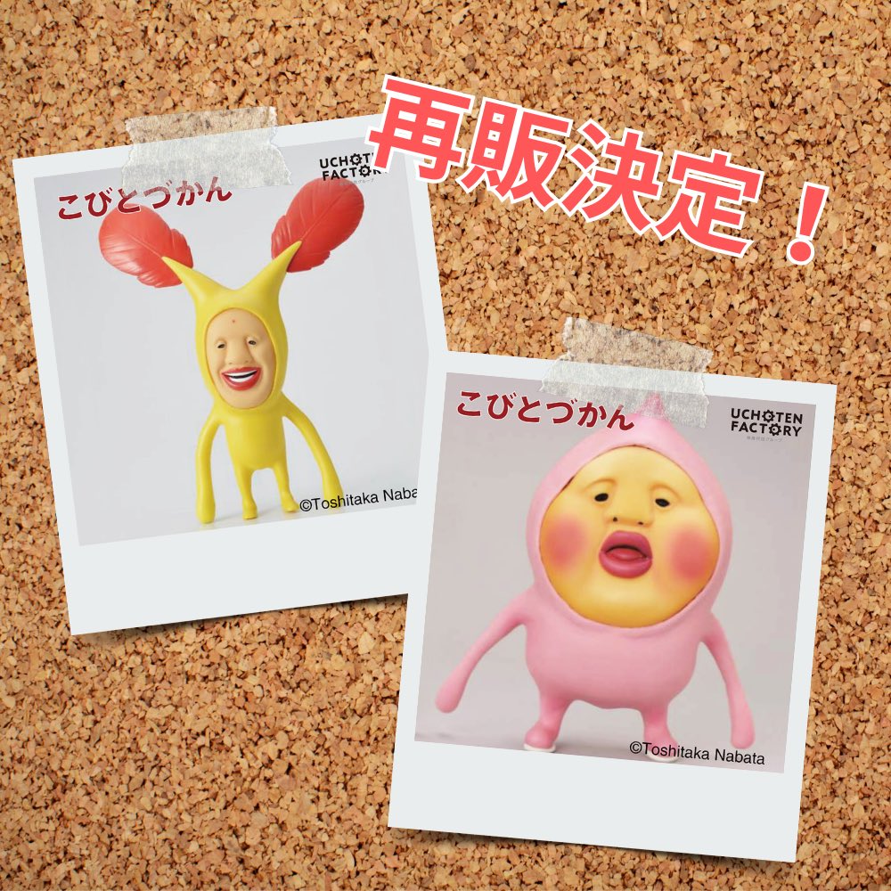 こびとづかん公式📚🌿 (@kobitodukan) / Posts / X