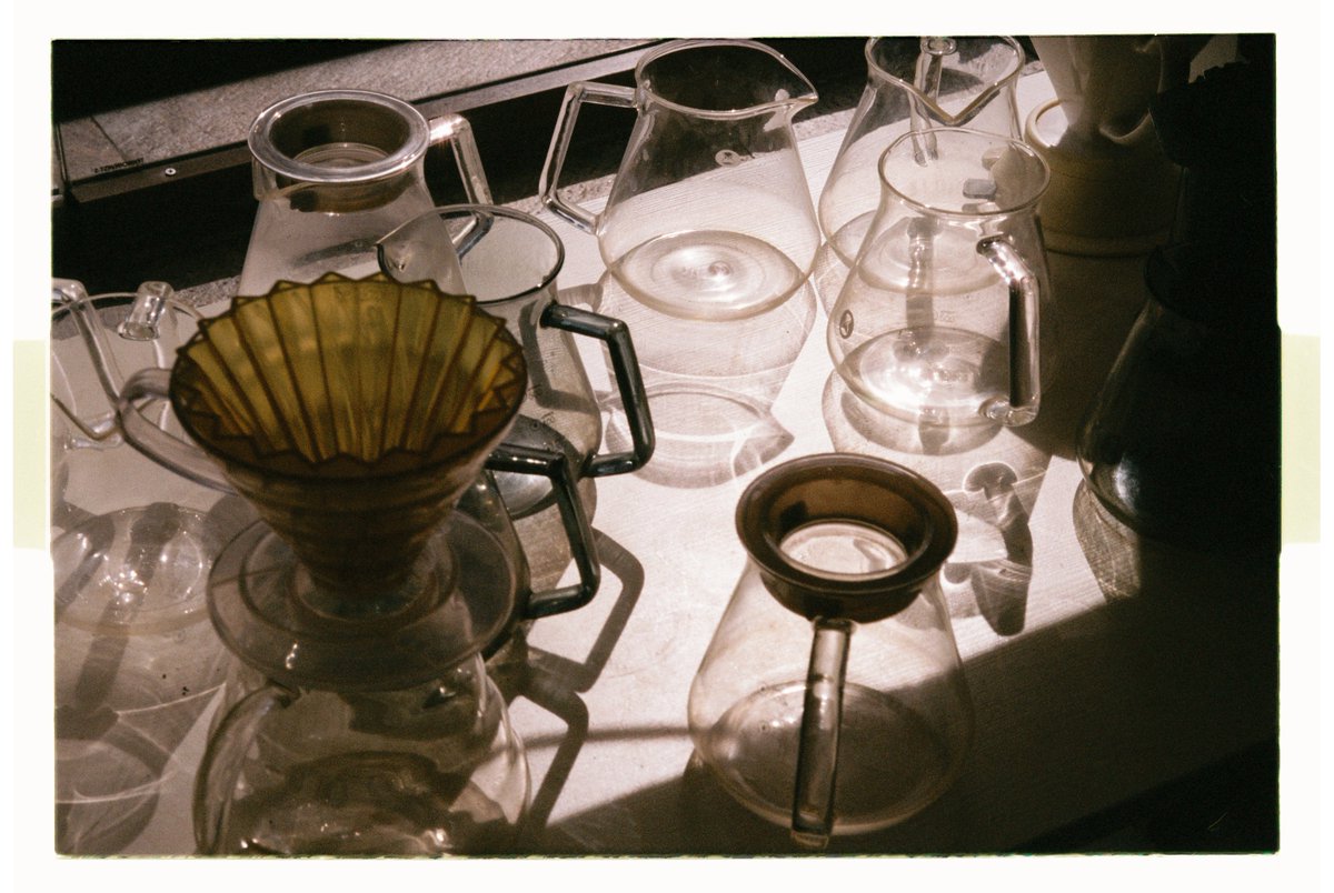 occasional_dreamer tweet media