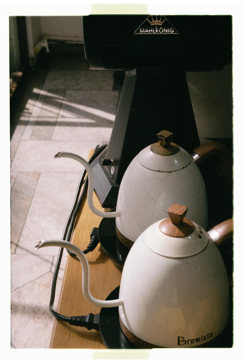 occasional_dreamer tweet media