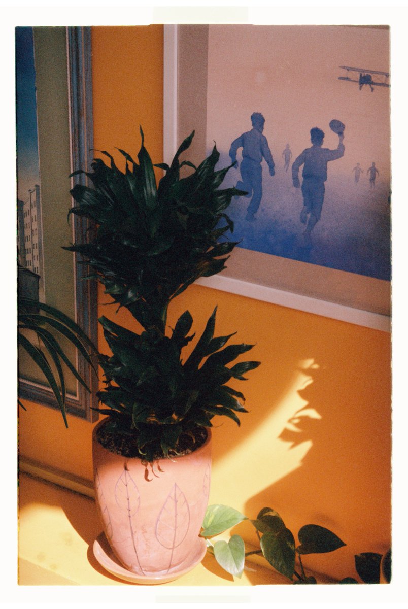 occasional_dreamer tweet media