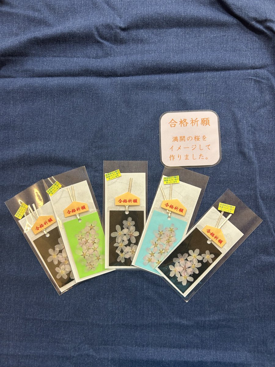 inashakyo's tweet photo. さくらの家です！🌸
本日ひな祭りという事でちらし寿司を食べました！
みんなで食べると美味しいですね！

また、押し花のしおりで使用する、さくらの家で早咲きさせている桜が開花しました！鮮やかに色づいていてとても綺麗です！

高遠城址公園さくら祭りで販売いたします！ぜひお買い求め下さい！ https://t.co/YsG8UGTgar