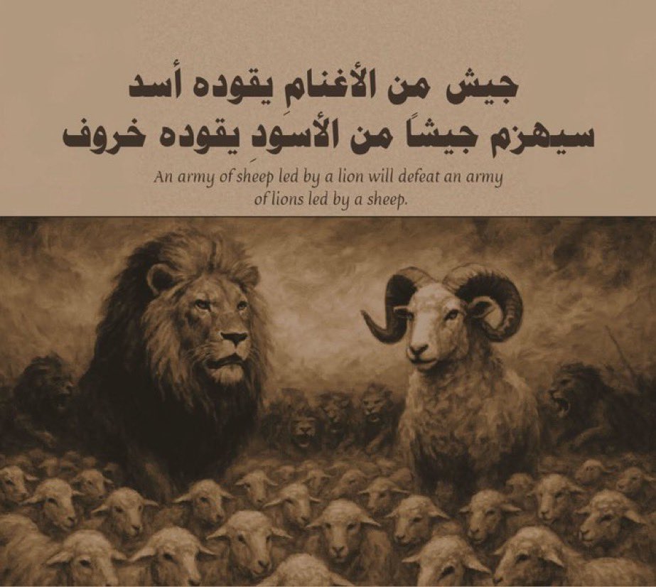 ⓢⓐⓔⓔⓓ tweet media