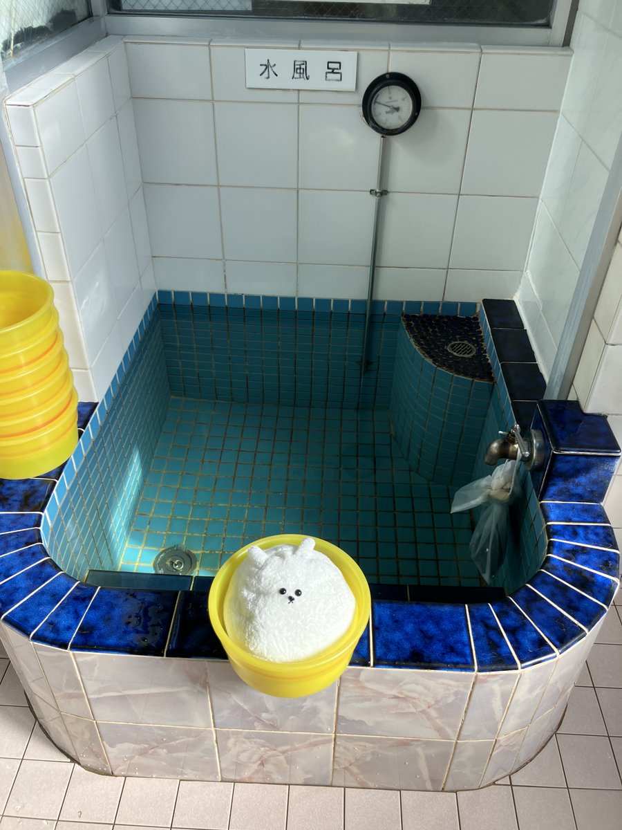 daikoku_yu's tweet photo. ＼🌫️本日はサウナの日🌫️／
水風呂にミントのハーブを浮かべ🔵🍃スッキリ感をUPさせました！
いつもと一味違うサウナ時間・温冷交代浴時間をお楽しみください🥰
本日は14時オープンです！お待ちしております♨️
※炭酸泉側サウナは、設備不具合により引き続きご利用いただけません。 https://t.co/BN8Su67y9M