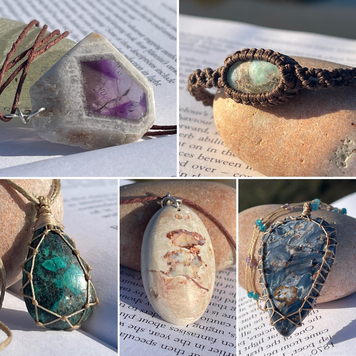 EcoOctopus tweet media