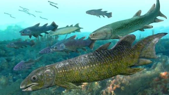 中国发现4.38亿年前新属种鱼化石