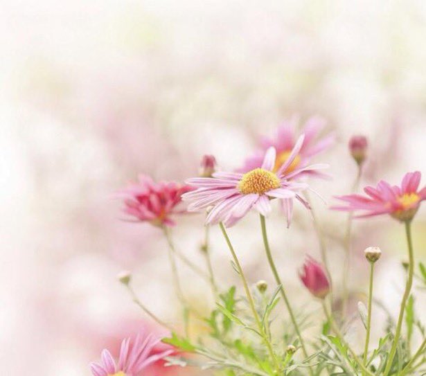 Welcome, March
Spring for some 🌸🍃
Autumn for others 🍂🍁
Please bring Peace to All 🙏🕊️