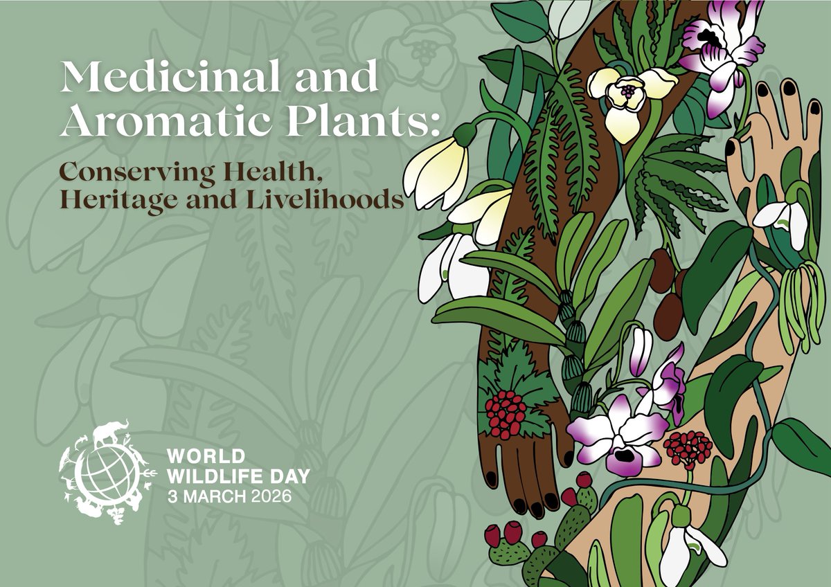 SF Bay Bird Observatory tweet media