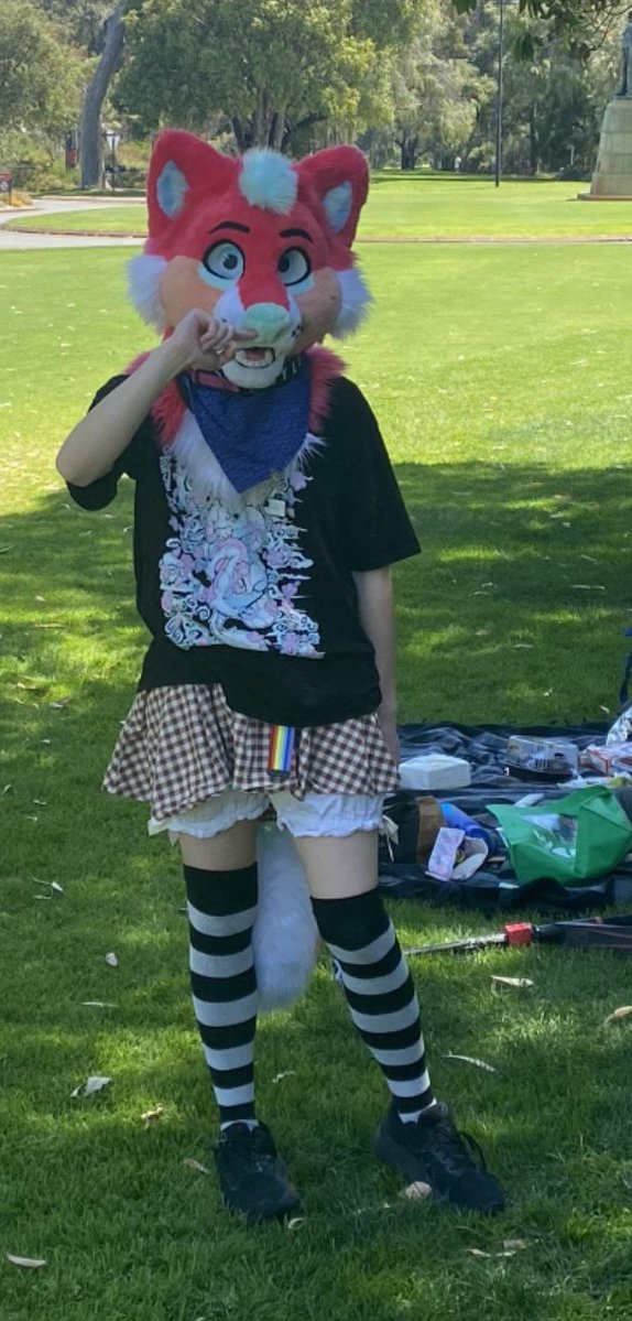 Ryleyyy 🦴 ✨➡️WAFF26 tweet media