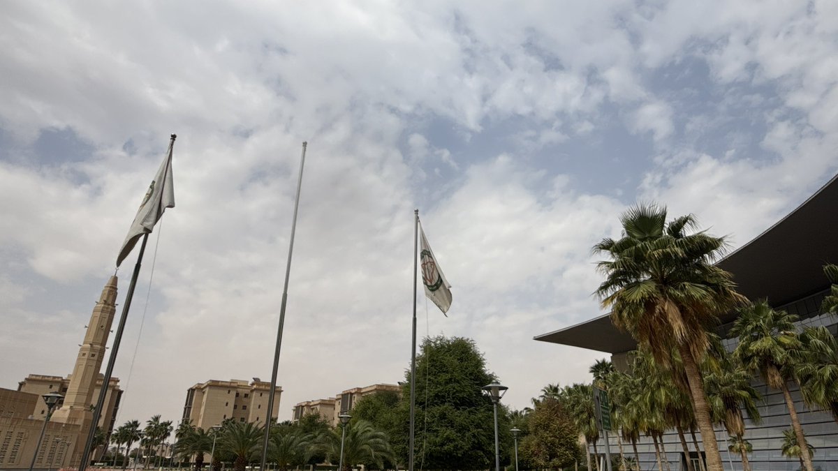 سَـاره tweet media