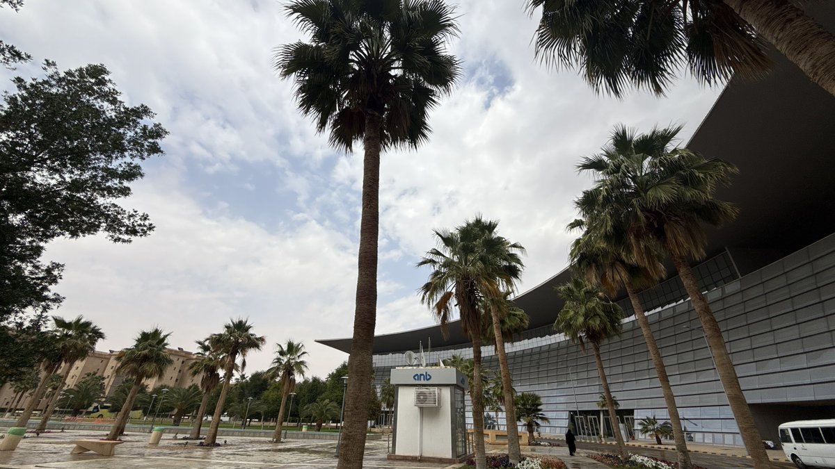 سَـاره tweet media