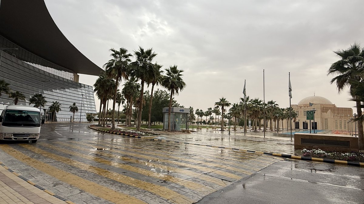 سَـاره tweet media