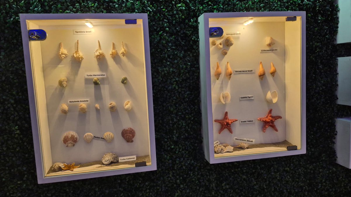 Canik İlçe Milli Eğitim Müdürlüğü tweet media