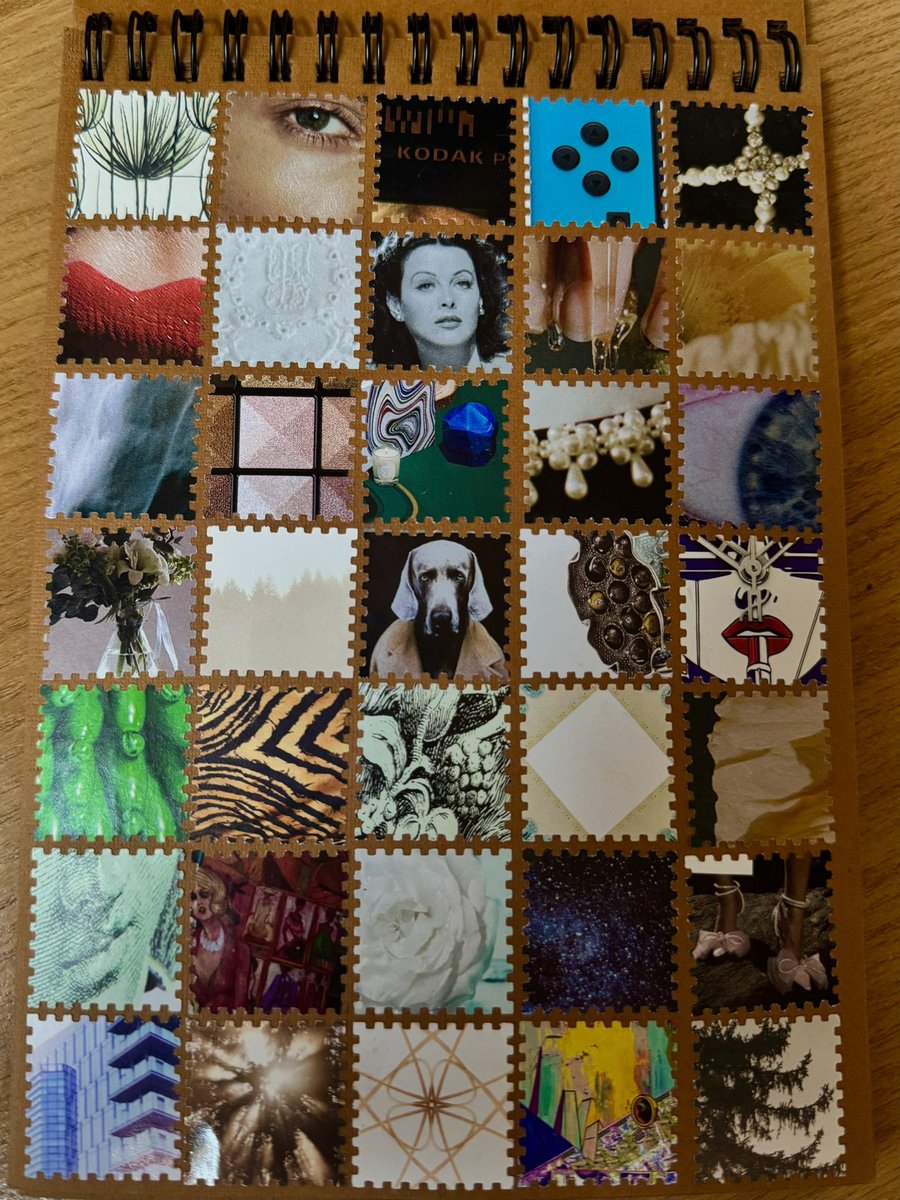 Київська світлярка tweet media