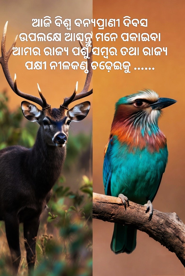 NIRMAN Odisha tweet media