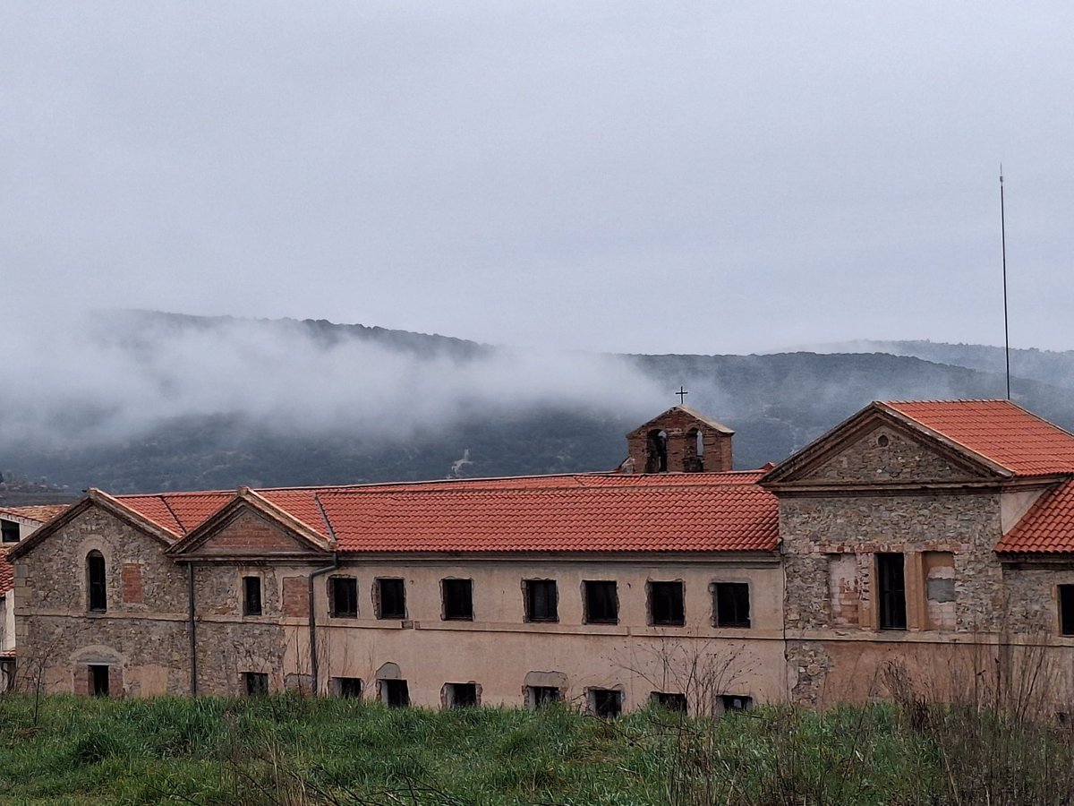 Juan Amela tweet media