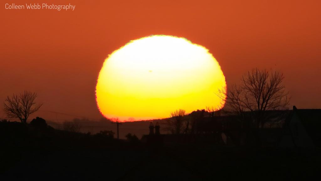 Colleen Webb tweet media