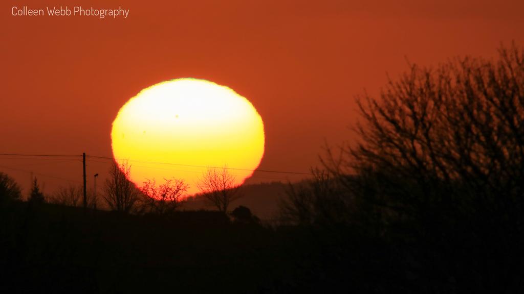 Colleen Webb tweet media