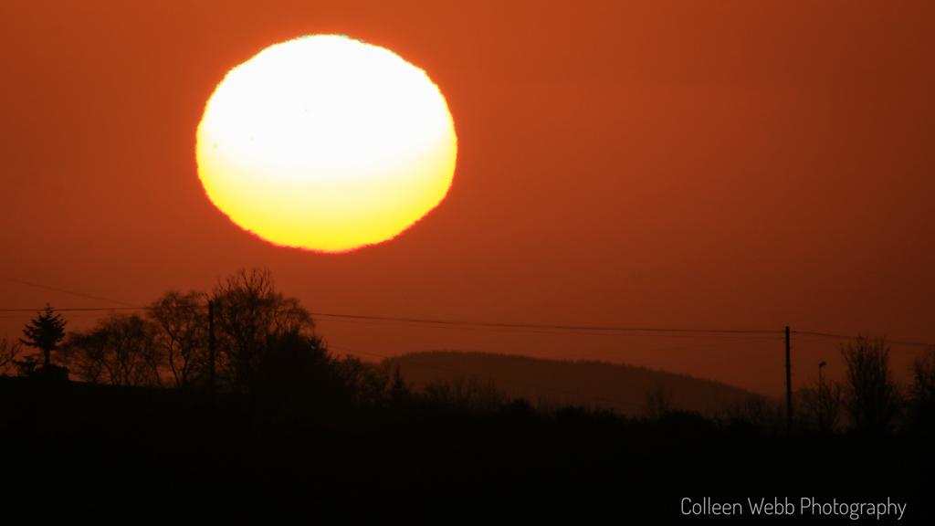 Colleen Webb tweet media