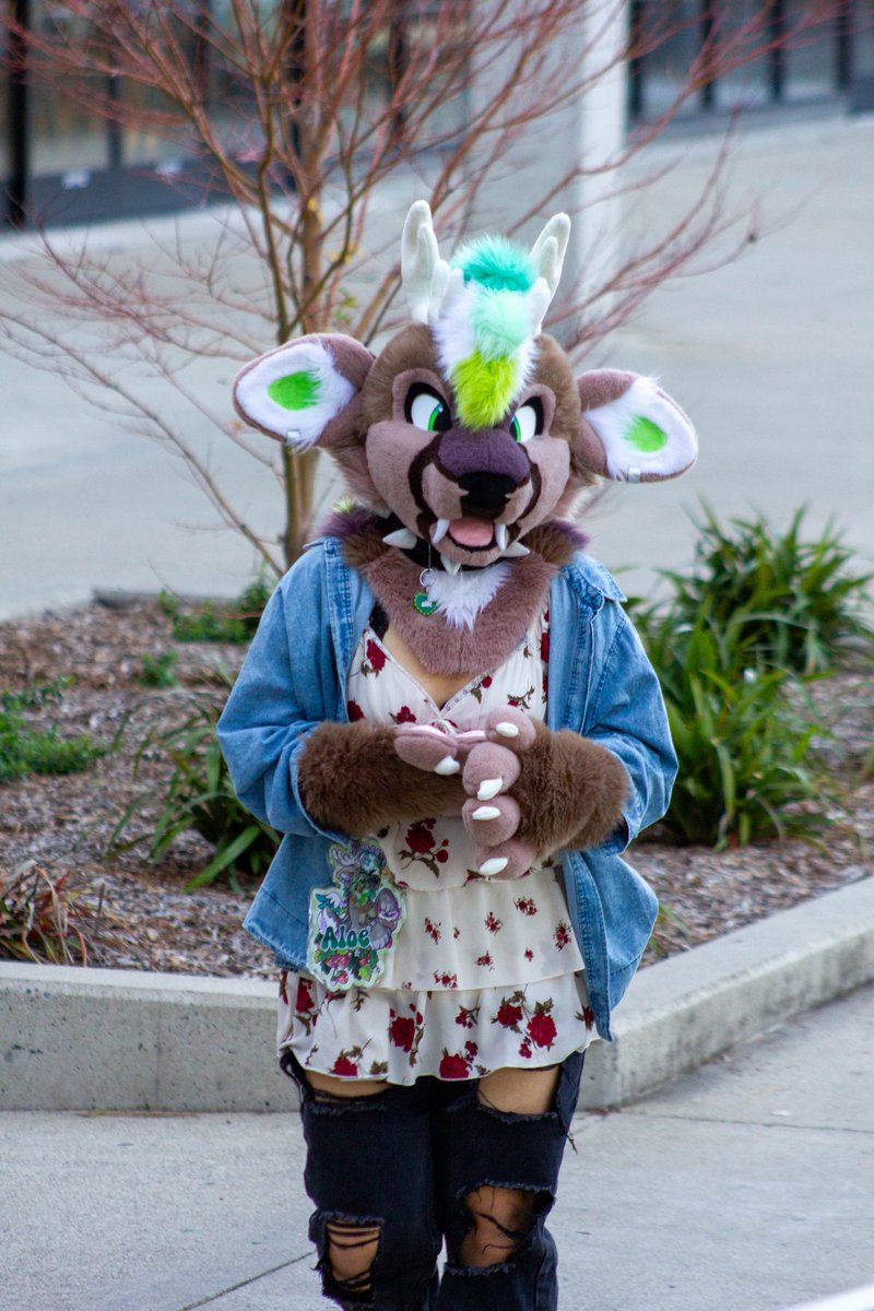 zulples 🦌 tweet media