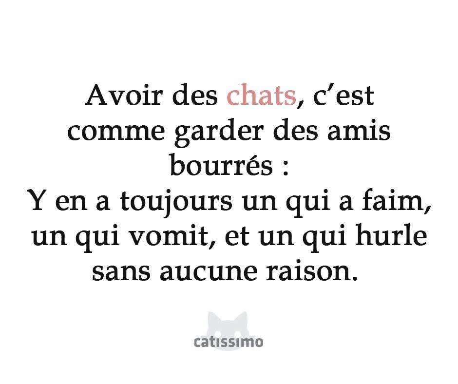 Loovenelle's tweet photo. 😉😹 https://t.co/ATlmmTiY2c