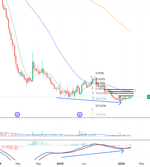 FWB - Fans Windah Basudara tweet media