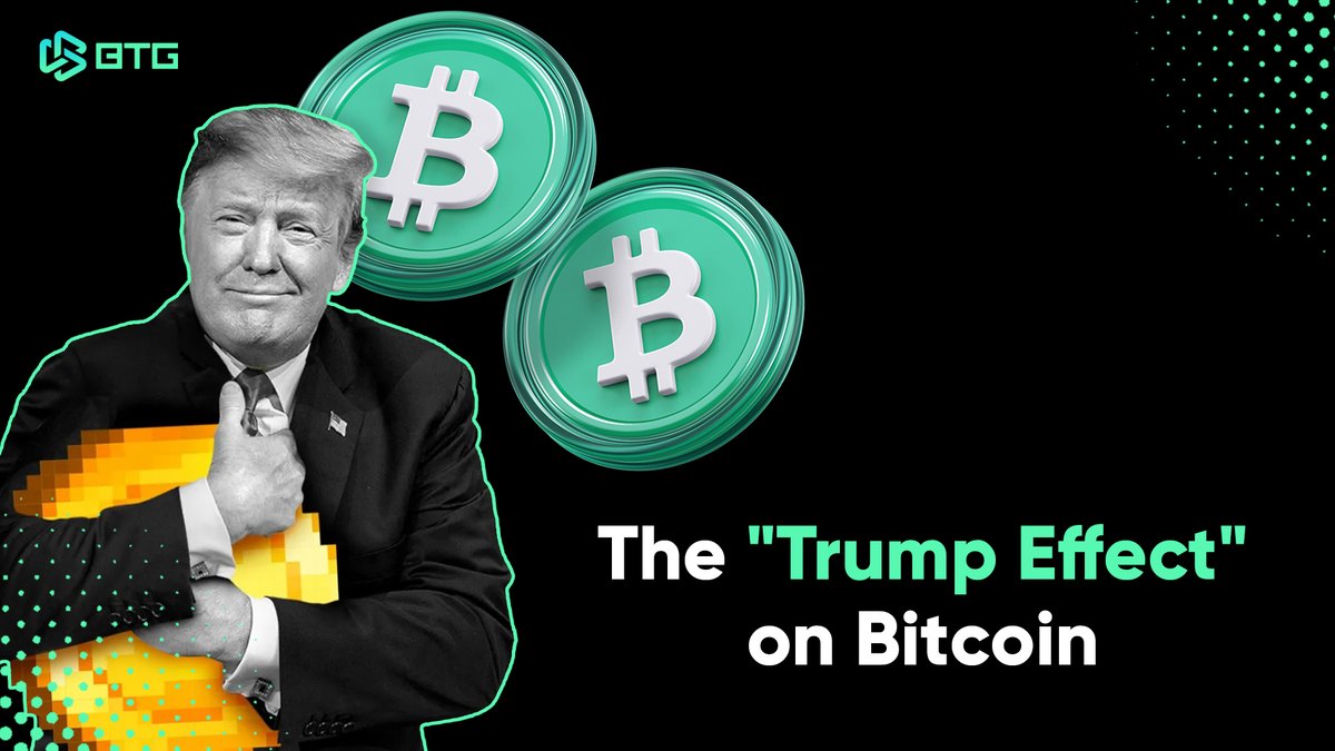 BTG Crypto & Web3 Network tweet media