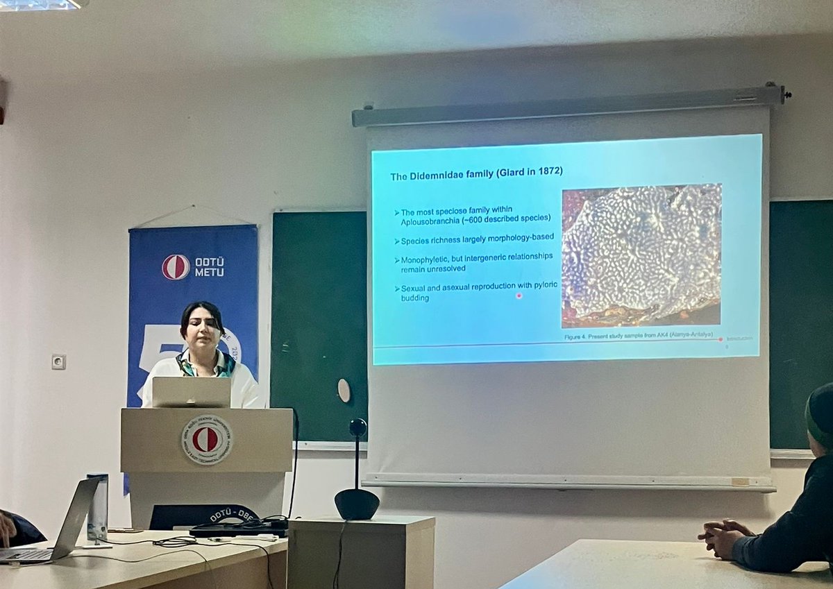 METU Institute of Marine Sciences tweet media