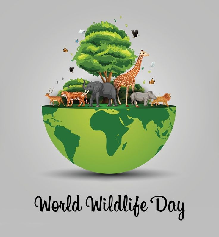 वरुणः रानडे Dr. Varun Ranade tweet media